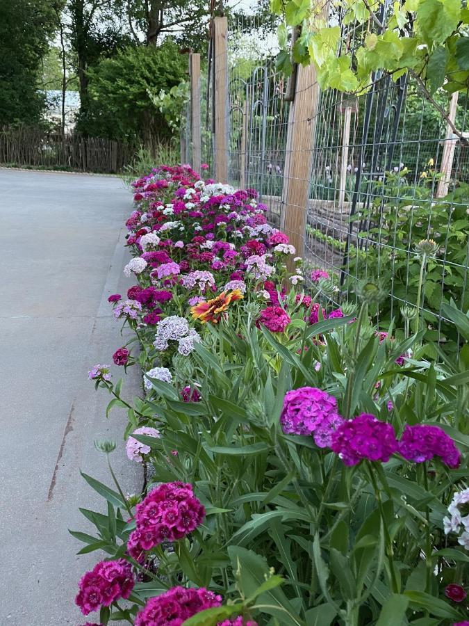 Gillen House Bed And Breakfast Maxeys Экстерьер фото